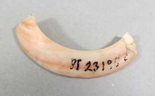 Fragment eines Armrings