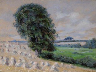 Holsteinische Sommerlandschaft