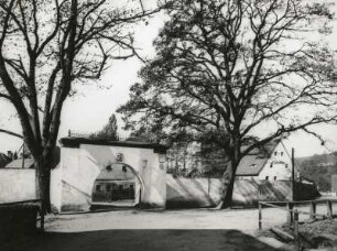 Olbernhau-Grünthal. Saigerhütte. Osttor und Mauer mit Traubeneiche (rechts)