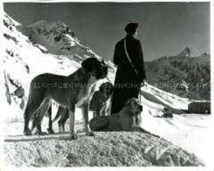 Hospiz auf dem Großen Sankt Bernhard, Bruder René Darbellao mit drei Bernhardinern, Blick auf die Berge in Italien