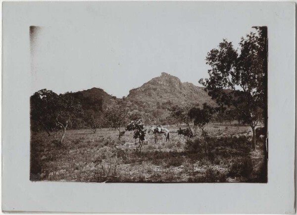 Dans le Sertão du Maranhão, non loin du Morro do Chapéu