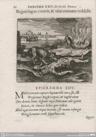 Discursus XXIV. Regem lupus voravit, et vitae crematus reddidit.
