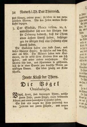 34-56, Die Vögel