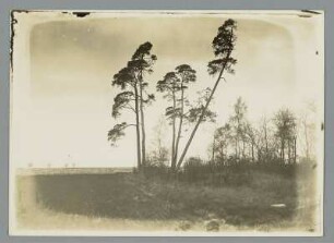 Landschaft