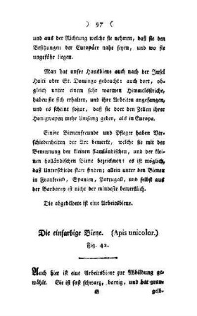 ¬Die¬ einfarbige Biene : (Apis unicolor) ; Fig. 42