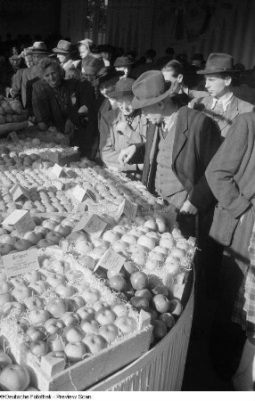 Besucher der Fachmesse bei einer Obstschau (Äpfel)