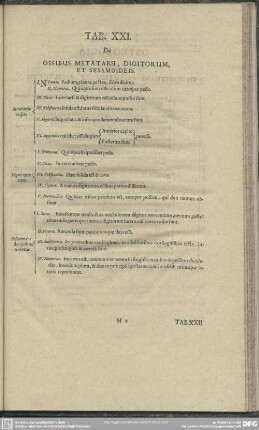 Tab. XXI. De Ossibus Metatarsi, Digitorum, Et Sesamoideis