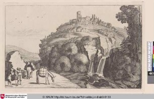 [Der Wasserfall; The Cascade]