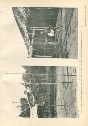Taf. 14. Uebungen mit dem Springstock bei den Bahau