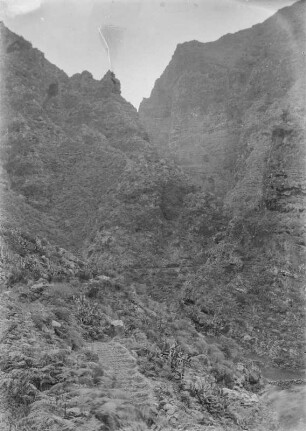 Barranco del Infierno : Im Barranco del Infierno, einem ausgetrocknetem Flusslauf