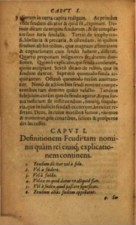 Commentaria In Consuetudines Feudorum