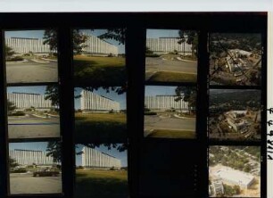 Memorial Hospital, 1981