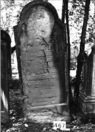 Grabstein 467 (Index: 99629968) Material: Sandstein Zustand: oben abgeblätt/unten verwitt/Textverlust Maße HxBxT: 172x66x9 cm Beschreibung: Stele mit eingezogenem Rundbogenabschluß, Schriftfeld eingetieft: Grabstein 467