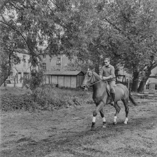 Reiter Strehla : Strehla. Reiter und Pferd