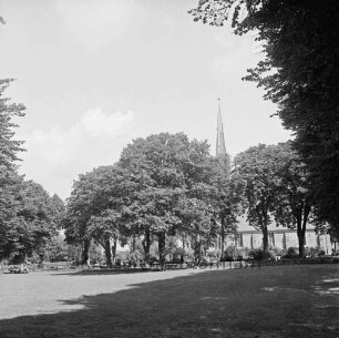 Dorfanger mit Bäumen: im Hintergrund die Friedenskirche: Ansicht von Süden