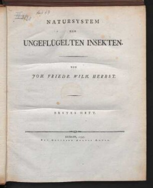 1: Natursystem der ungeflügelten Insekten, Erstes Heft, Naturgeschichte der Insekten-Gattungen Solpuga und Phalangium