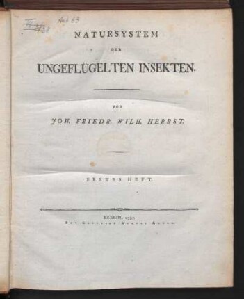 1: Natursystem der ungeflügelten Insekten, Erstes Heft, Naturgeschichte der Insekten-Gattungen Solpuga und Phalangium