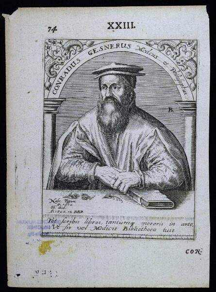 Gesner, Conrad