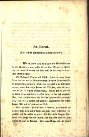 Am Mucuri. (Aus meinen Reisenotizen zusammengestellt.)