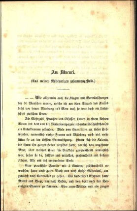 Am Mucuri. (Aus meinen Reisenotizen zusammengestellt.)