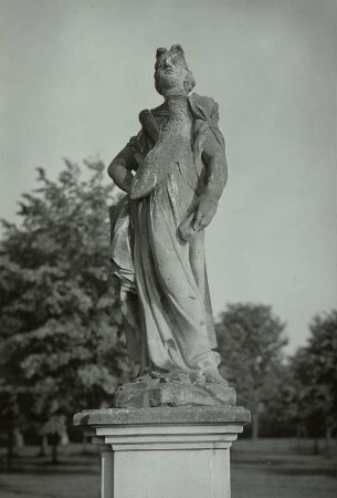 Athene