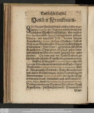 Das sechste Capitel. Von den Kranckheiten.