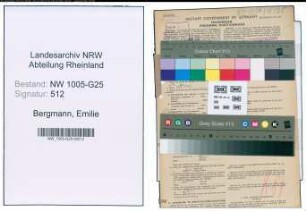 Entnazifizierung Emilie Bergmann , geb. 05.10.1896 (Kauffrau)