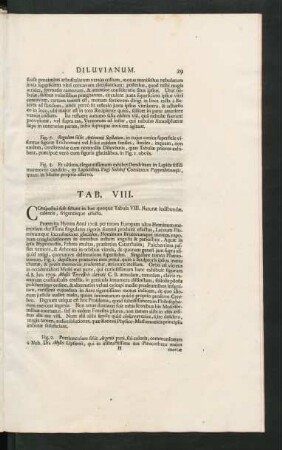 Tab. VIII.