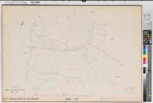 Ostbevern, Westbevern, Milte (Ostbevern, Telgte, Warendorf), Flurbereinigung Bevertal, alter Bestand Milte Flur 7
