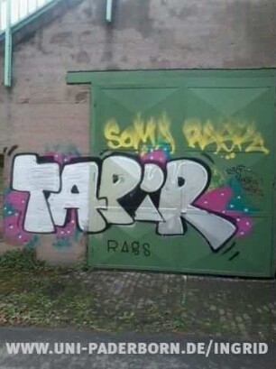 TAPiR
