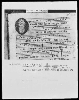 Antiphonarium de Tempore (Zisterzienserhandschrift) — Initiale O(Rnaverunt), Folio 185recto