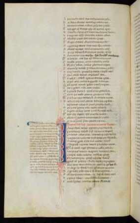 Lib. VII