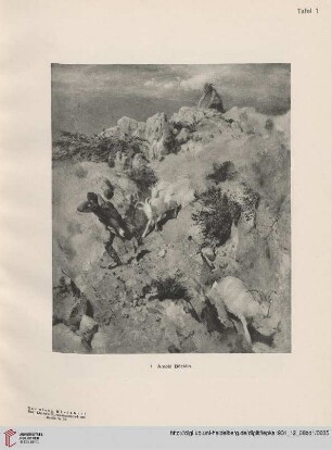 Abbildungen 1-40