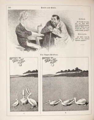 "Poesie und Prosa" "Die klugen Pelikane"