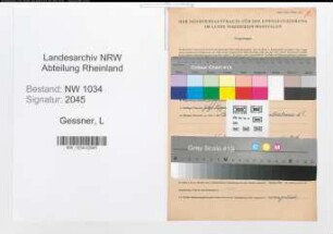 Entnazifizierung L Gessner , geb. 00.00.0000 (Oberstleutnant)
