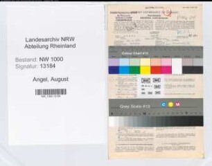 Entnazifizierung August Angel, geb. 19.02.1880 (Landesoberinspektor)