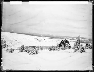 Fichtelberg, Silberfuchsfarm
