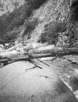 Brücke im Hida-Gebirge : Baumstämme über einem Gebirgsbach