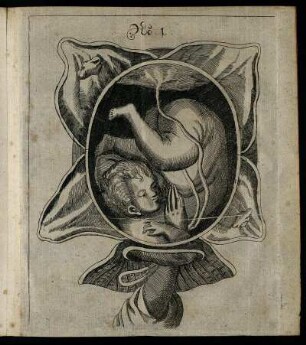 Illustration No. 1. - Illustration No. 5.