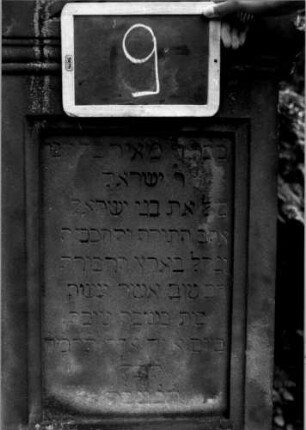 Grabstein 9 (Index: 100110404) Material: Sandstein Zustand: verwittert Maße HxBxT: 136x57x17 cm Beschreibung: Stele, getreppter Sockel, unterer Sockel rusticaartig, Giebel mit Eckakroteren, Schriftfeld rechteckig: Grabstein 9 (Detailaufnahme 1)