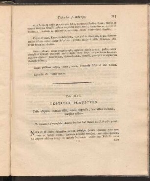 Tab. XXVII: Testudo Planiceps