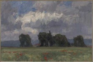 Dunkle Pappellandschaft mit Mohn bei Sarnau