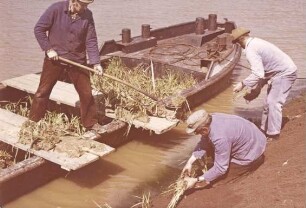 Versuchsstrecke Begrünung von Deckwerk am Ufer des Mittellandkanals