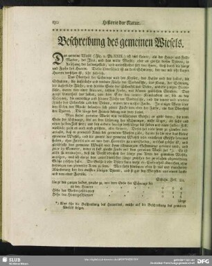 Beschreibung des gemeinen Wiesels