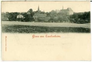 Taubenheim. Dorfansicht