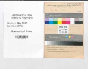 Entnazifizierung Franz Boeckendorf , geb. 20.06.1900 (Boettcher)