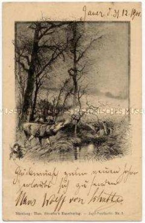 Röhrender Hirsch am Waldrand