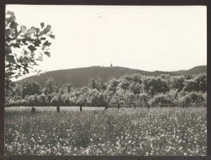 Blick auf das Hermannsdenkmal. Detmold. Hiddesen