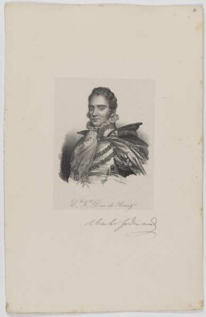 Bildnis des Charles Ferdinand de Berry