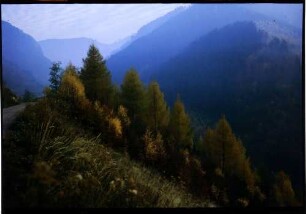 Zastler: Herbstlaubwald am Talhang